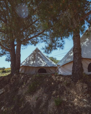 Camping Ameixial